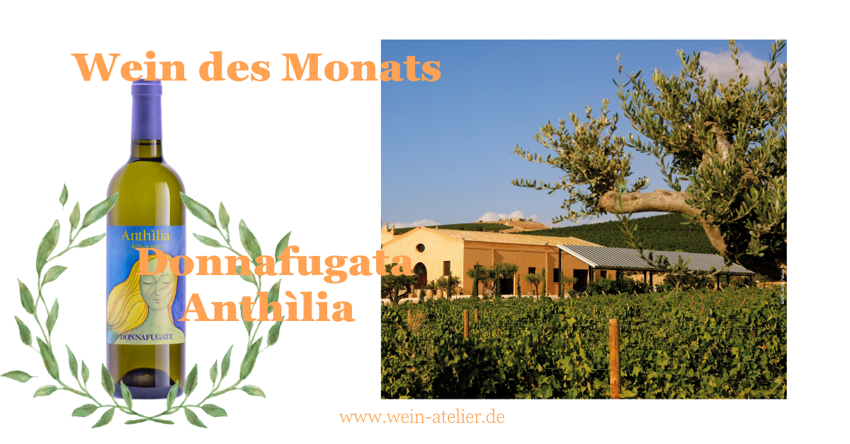 Wein des Monats: Anthìlia von Donnafugata